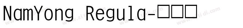 NamYong Regula字体转换